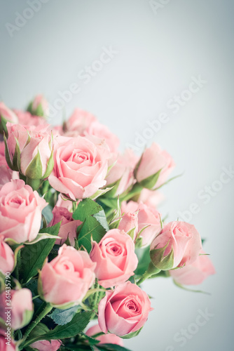 Bouquet of pink roses