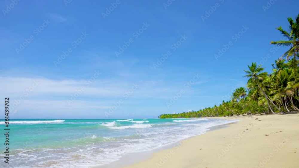 Dominican palms beach.Tropical coconut paradise in Caribbean Sea Atlantic ocean Dominican palms beach.Tropical coconut paradise in Caribbean Sea Atlantic ocean