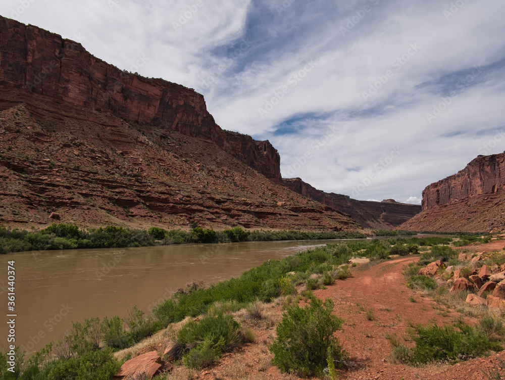 Die üppige Vegetation am Ufer des Colorado Rivers
