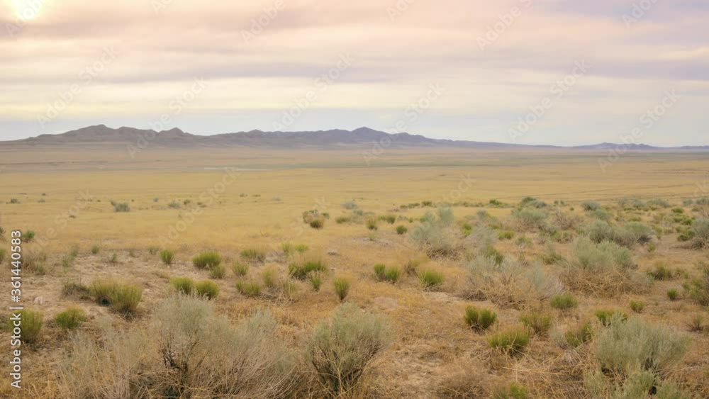 Desert 4k background plate for green screen and VFX, Master or Establishing Shot. Seamless loop. Match with 28mm at f/10 on a full frame sensor, focus at hyperfocal distance (~9ft). Desert 4k background plate for green screen and VFX, Master or Establishing Shot. Seamless loop. Match with 28mm at f/10 on a full frame sensor, focus at hyperfocal distance (~9ft).