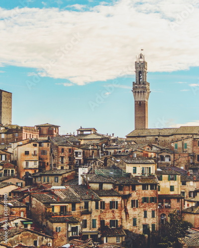 Panoramic view of Siena with the Tower of Mangia on background - Siena  Tuscany  Italy