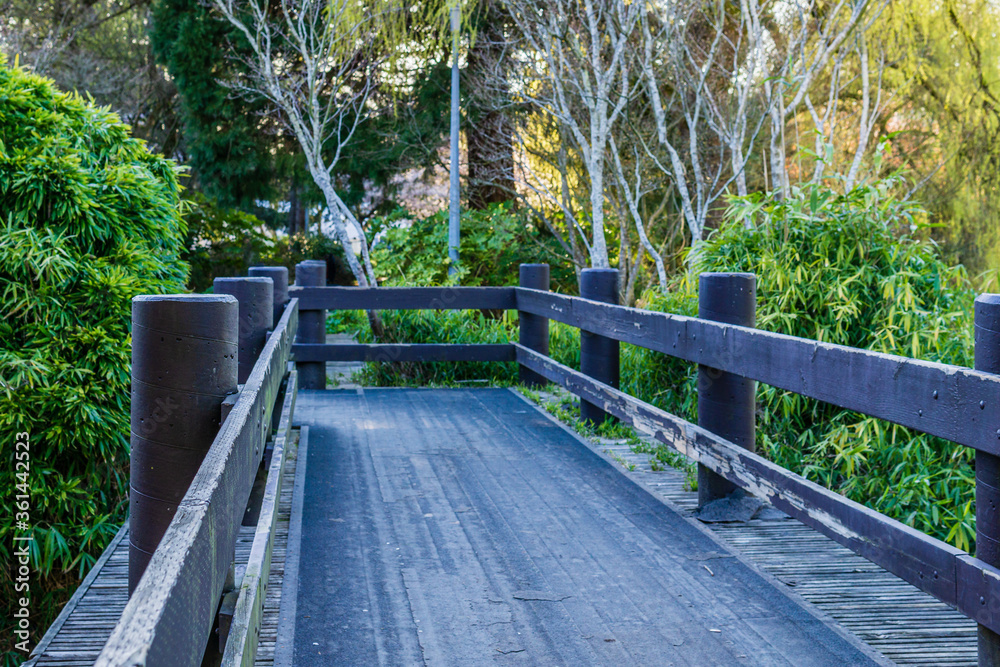 Wooden Pathway bridge in city park summer day. Wooden Pathway bridge in city park summer day.