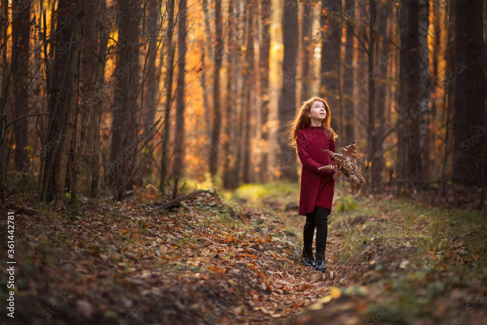 Beautiful red-haired girl with freckles holding a bouquet of dry leaves of fern in her hands. Walk in the autumn forest or park. The atmosphere of early spring or autumn, golden sunset light. Beautiful red-haired girl with freckles holding a bouquet of dry leaves of fern in her hands. Walk in the autumn forest or park. The atmosphere of early spring or autumn, golden sunset light.
