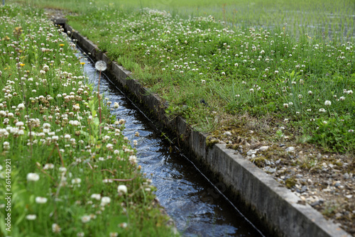 田舎の水路の風景