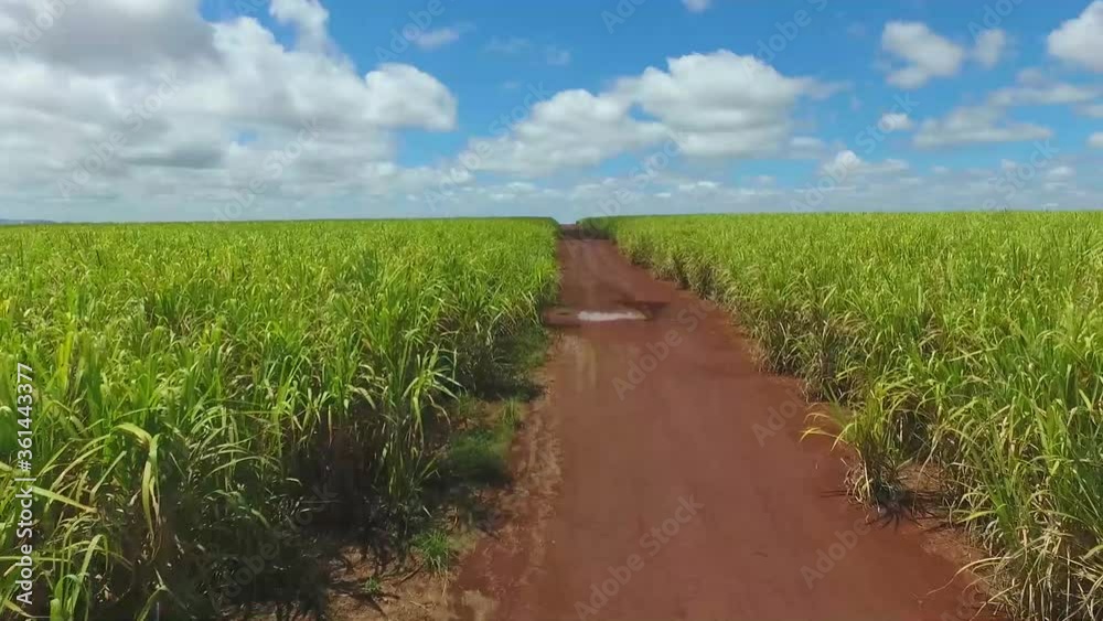 aerial image of Brazil's agricultural plantation aerial image of Brazil's agricultural plantation