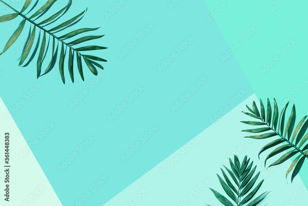Fototapeta Tropical palm leaves from above - flat lay