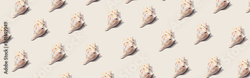 Summer concept with seashells overhead view - flat lay