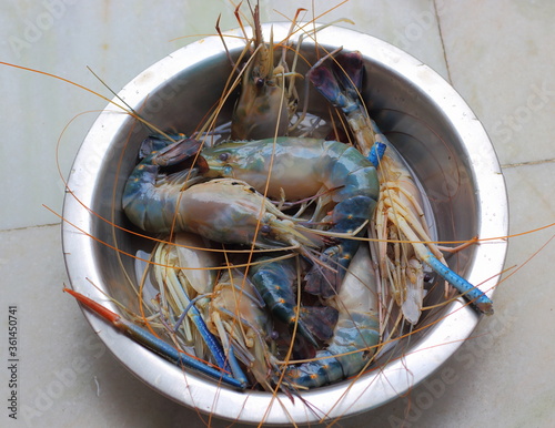 Raw Tiger prawns kept in steel bowl
