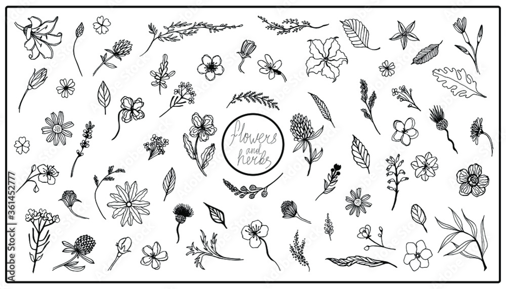 Big set vector elements with flowers , leaves and herbs. Logo design for flower shop, Packaging design, nail art. Hand drawn doodle. - obrazy, fototapety, plakaty 
