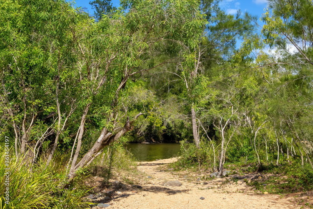 Pedestrian path on sand leads to Barron River near Kuranda in Tropical North Queensland, Australia Pedestrian path on sand leads to Barron River near Kuranda in Tropical North Queensland, Australia