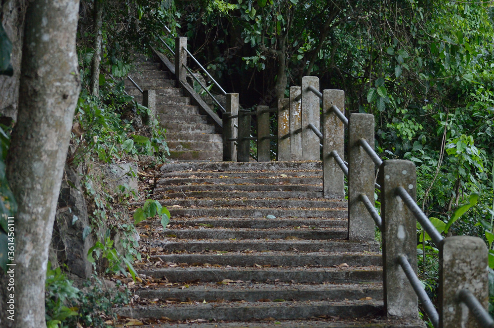 stone steps in the park
