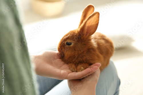 Young woman with adorable rabbit indoors, closeup. Lovely pet