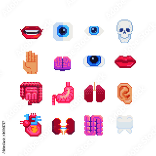 anatomy, Human organs pixel art icons set. Brain, tooth, heart, lungs, intestines, kidneys and stomach isolated vector illustration. Design stickers, logo, app, anatomy, science, medicine, education. 