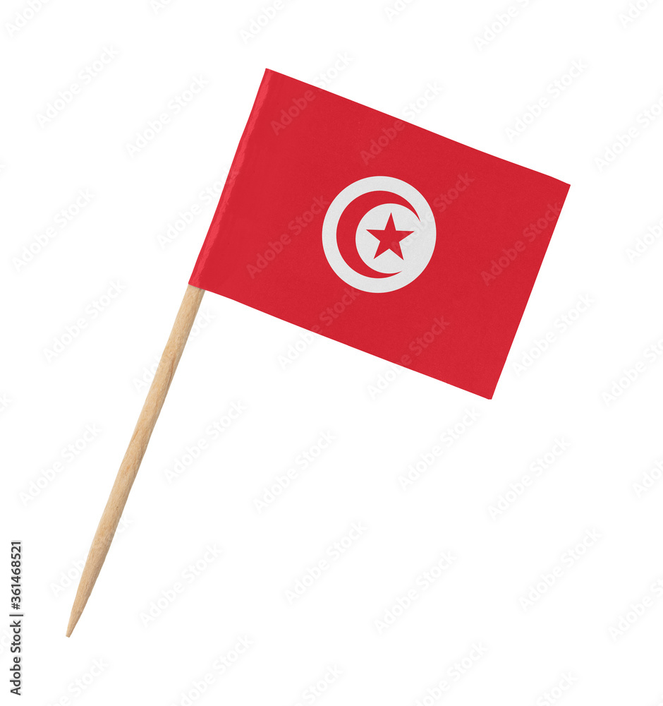 Small paper Tunisian flag on wooden stick Small paper Tunisian flag on wooden stick