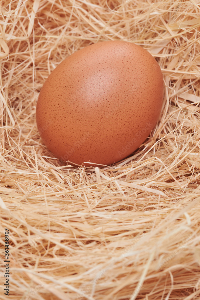 Eggs are very high in nutrients. Eggs are very high in nutrients.