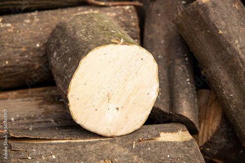 Cross section of the timber, firewood stack for the background. A lot of cutted logs. Stack of sawn logs. Natural wooden decor background. Pile of chopped fire wood prepared for winter.