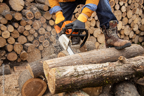Chainsaw in action cutting wood. Man cutting wood with saw, dust and movements. Chainsaw. Close-up of woodcutter sawing chain saw in motion, sawdust fly to sides.
