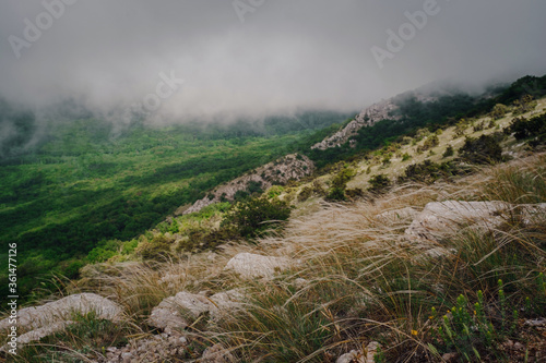 forge on the slopes of the summer mountains