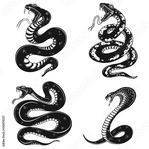 Set of illustrations of poisonous snake in engraving style. Design element for logo, label, sign, poster, t shirt. Vector illustration