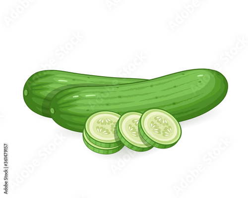 cucumber vector illustration