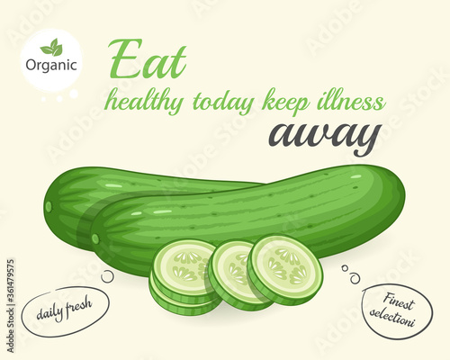 cucumber vector illustration  with round pieces of cucumber