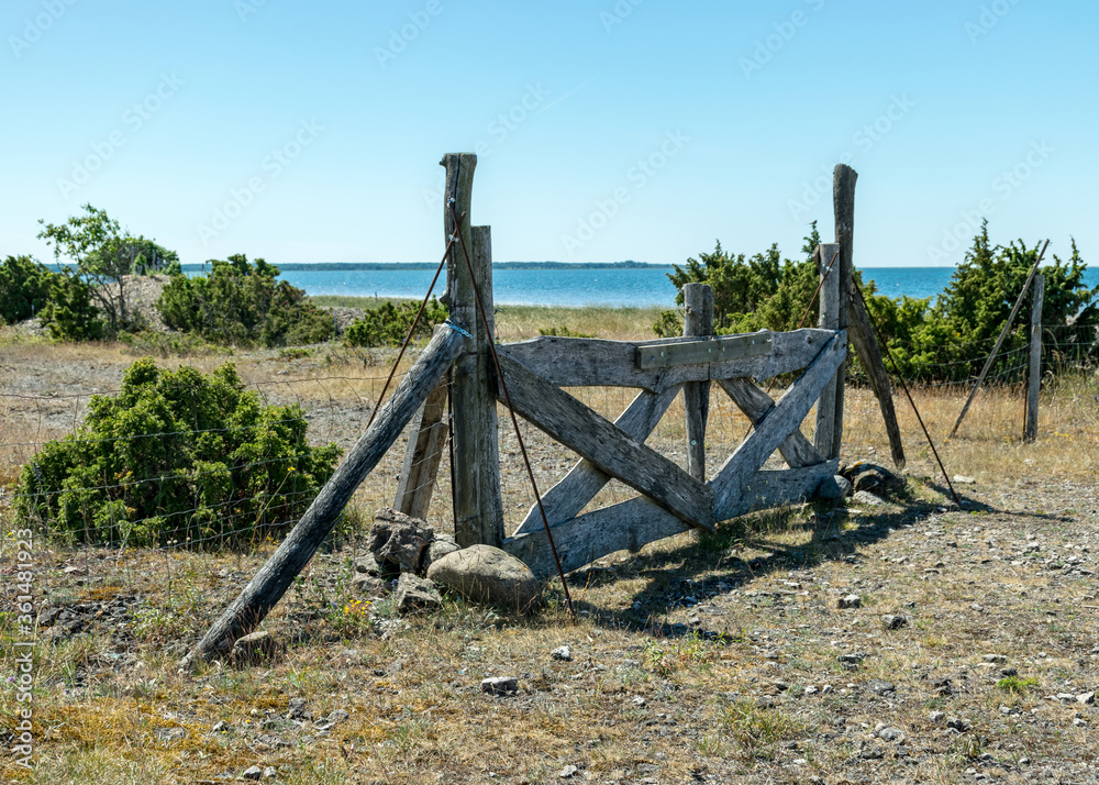 summer landscape with a natural wooden fence on a rocky sea shore, Saaremaa Island, Estonia summer landscape with a natural wooden fence on a rocky sea shore, Saaremaa Island, Estonia