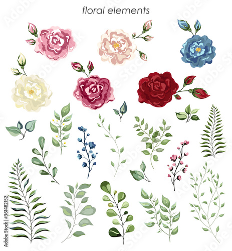 Flowers of roses with colored elements and green leaflets. Watercolor designer element set. Wedding concept. Floral poster, invite. Vector arrangements for greeting card or invitation