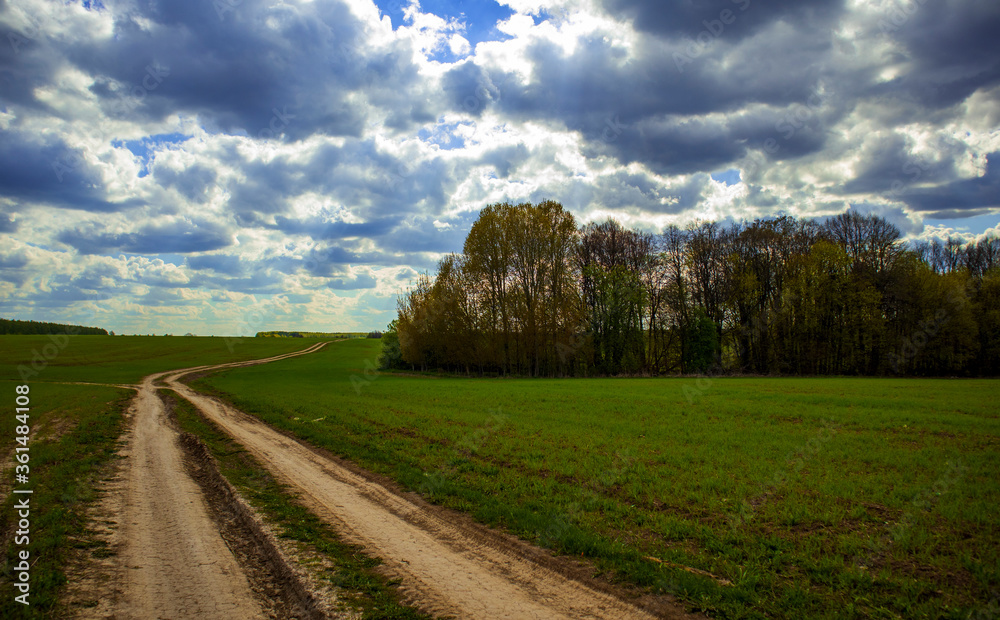 Fototapeta premium road in the field