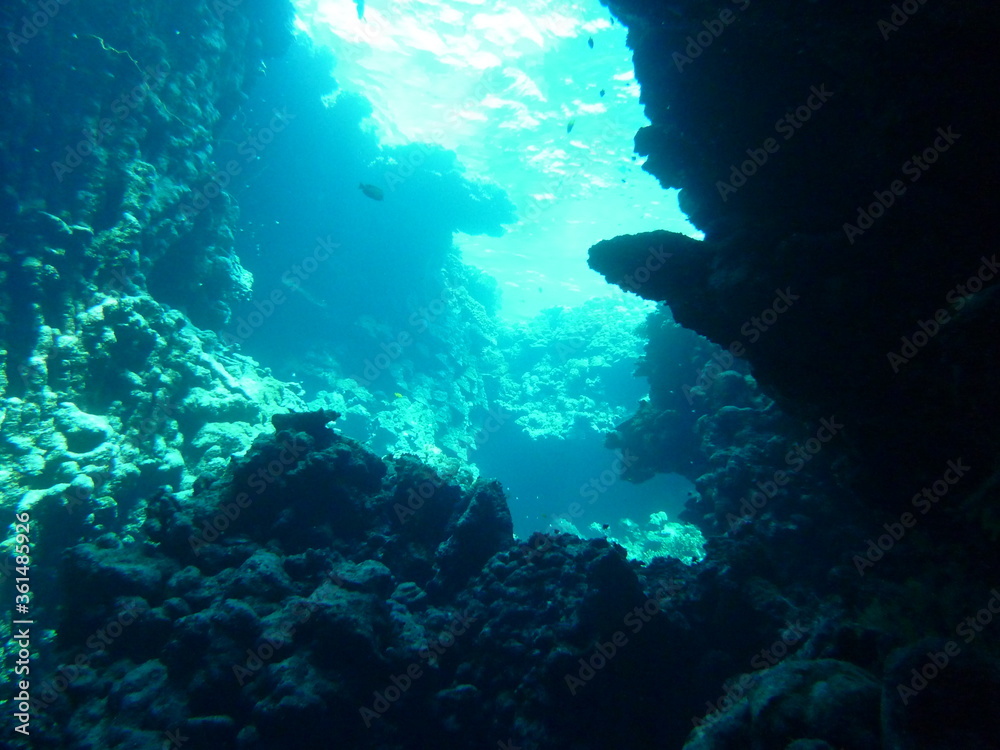 Fototapeta premium Unterwasserwelt