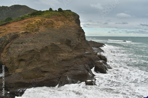 Piha beach coastal rock formation photo