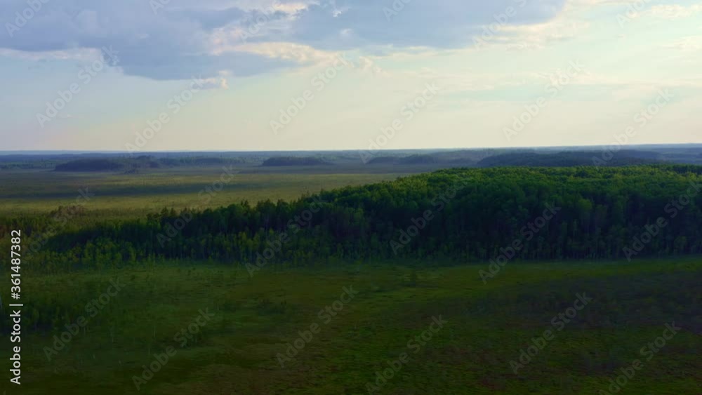 Moving aerial of a forest and a bog Moving aerial of a forest and a bog