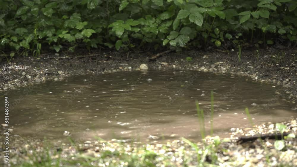 Mountainbike drives through puddle of water. Splashing water Mountainbike drives through puddle of water. Splashing water