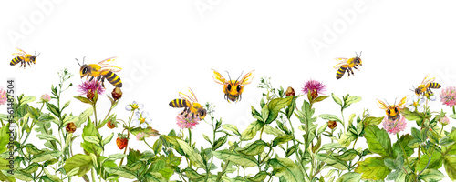 Honey bees in meadow flowers, summer grasses. Seamless floral border. Watercolour © zzorik