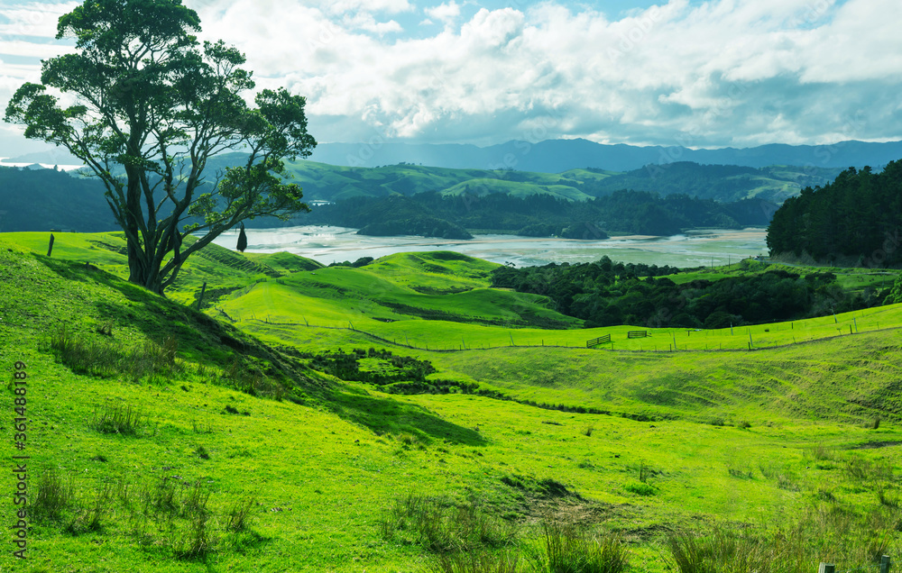 New Zealand hills