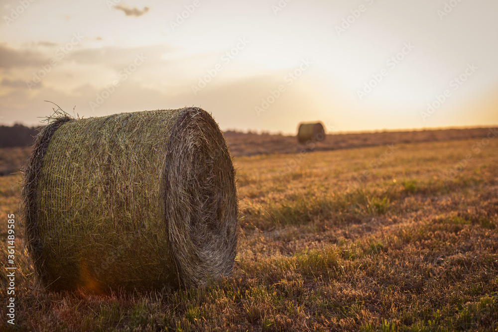 hay bales in a field at sunset