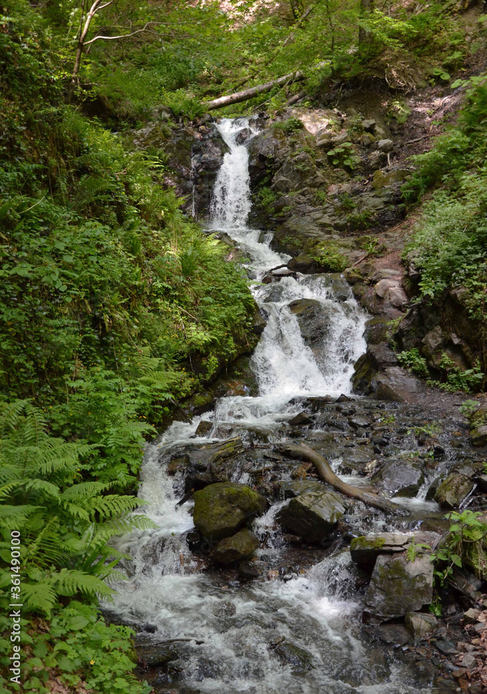 Fototapeta premium waterfall in the mountains