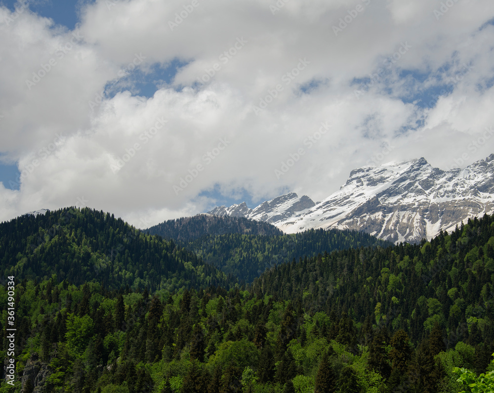 Snow-capped mountains in the forest on a clear summer day.