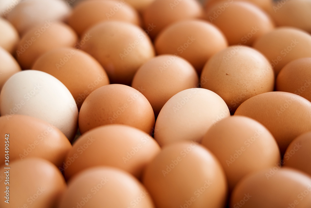 Fresh country eggs. Natural food, environmentally friendly products. Fresh country eggs. Natural food, environmentally friendly products.