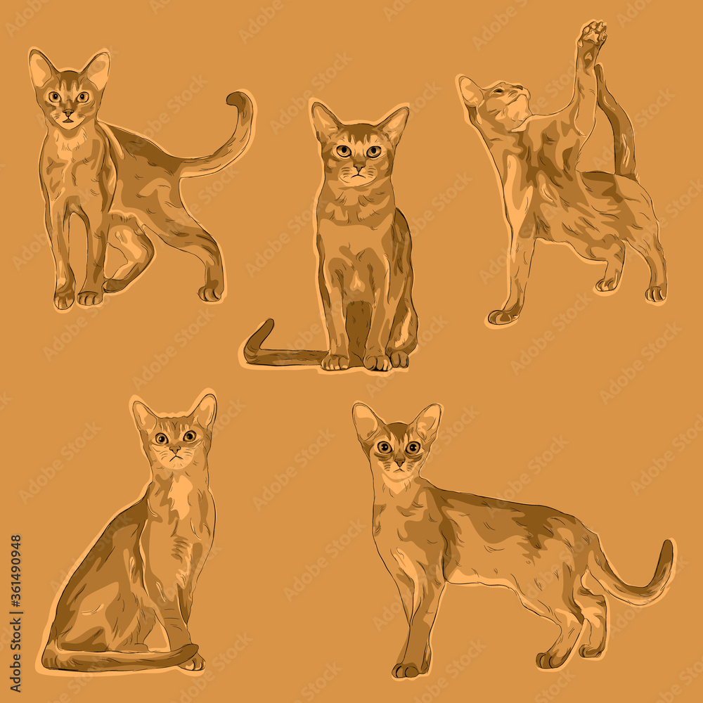 Fototapeta premium Animal Wildlife Abyssinian Cat Overlapping Vector Style Set