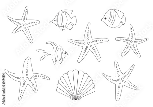 fish and sea stars - vector set of contours