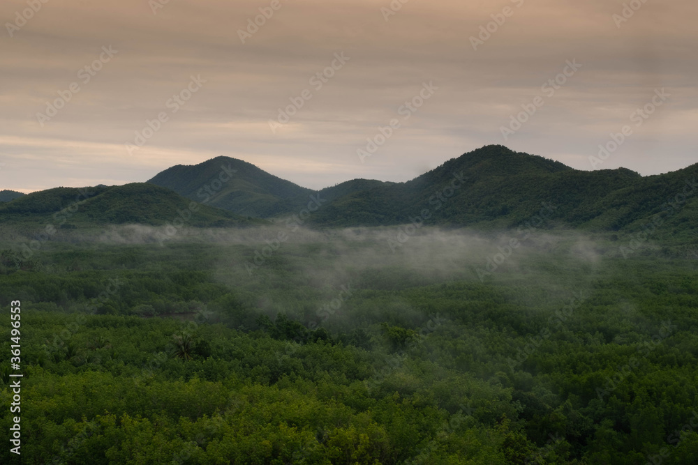 landscape of the tropical forest in morning, Koh Yao Yai,Phangnga, Thailand