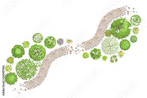 Vector illustration. Landscape design. Top view. Path, trees and flowers. View from above. photo