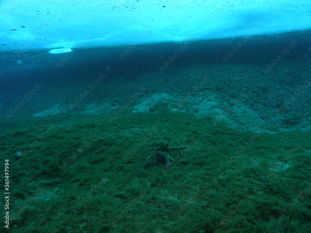 Obraz premium Eistauchen