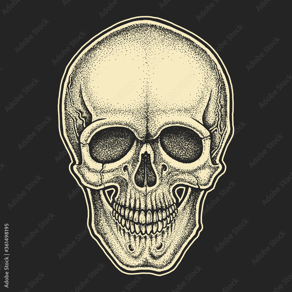 Dotwork styled skull. Hand drawn illustration Dotwork styled skull. Hand drawn illustration