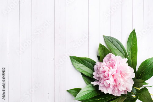 Pink peony flowers with leaves on a white wooden background with copy space. Greeting card with a place for text or product placement.