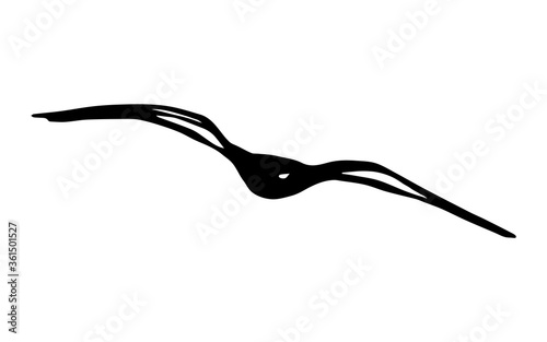 Hand-drawn simple vector illustration in black outline. Silhouette of a seagull soaring in the sky isolated on a white background. Flying bird. Nature, coast, ornithology.