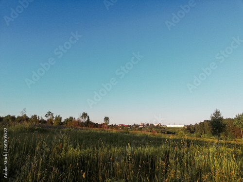 sunset over the field