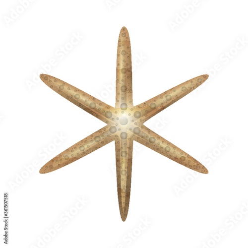 Starfish