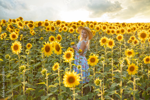 Girl holds a sunflower in her hands. Beautiful woman in a field with sunflowers.