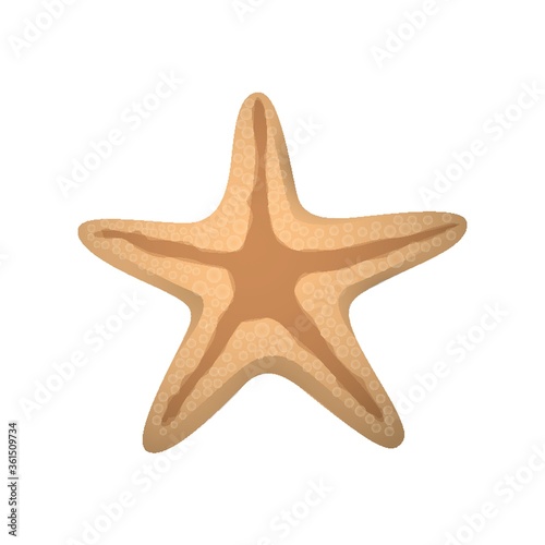 Starfish